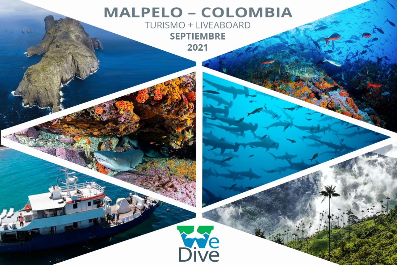Malpelo - Colombia